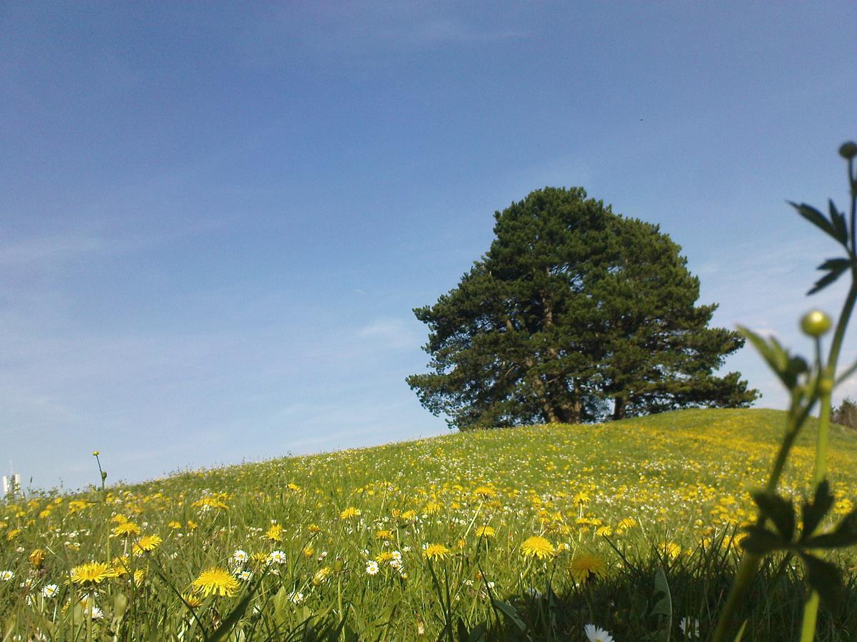 Gasthaus Roessli Mogelsberg ภายนอก รูปภาพ